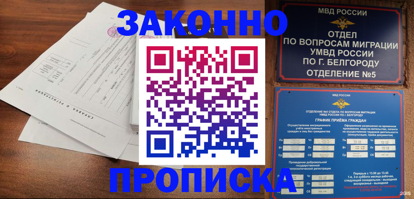 прописка в Калужской области